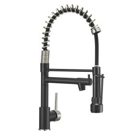 New Standard Single Handle kitchen faucet with pull-down kitchen faucet in Brushed Nickel (Color: Black+Nickel)