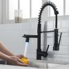 New Single Handle LED kitchen faucet with pull-down kitchen faucet in Black