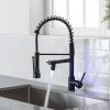 New Single Handle LED kitchen faucet with pull-down kitchen faucet in Black