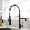 New Single Handle LED kitchen faucet with pull-down kitchen faucet in Black