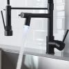 New Single Handle LED kitchen faucet with pull-down kitchen faucet in Black