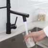 New Single Handle LED kitchen faucet with pull-down kitchen faucet in Black