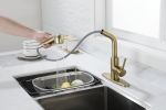 Kitchen Faucets with Pull Down Sprayer, Single Handle Kitchen Sink Faucet with Pull Out Sprayer