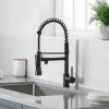 New Single Handle LED kitchen faucet with pull-down kitchen faucet in Black