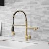 New Standard Single Handle kitchen faucet with pull-down kitchen faucet in Brushed Nickel