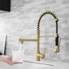 New Standard Single Handle kitchen faucet with pull-down kitchen faucet in Brushed Nickel