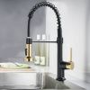 The new model is beautiful and durable Single Handle Pull-Down Sprayer Kitchen Faucet in Black+Gold